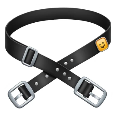 seat body belt  sticker