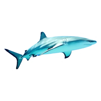 зобрази військове спорядження та обладнання для навчань школярів 🪖 sticker