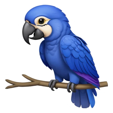 Hyacinth macaw sticker