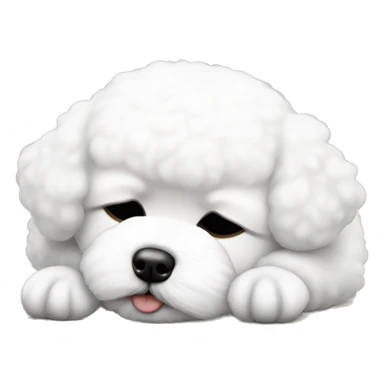 White little Bichon Frize sleeping  sticker