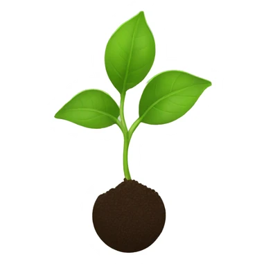 seed to plant sticker