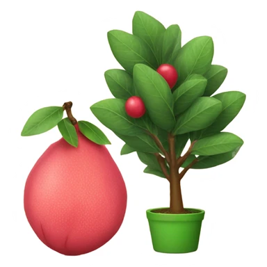 Guava next to a Christmas tree sticker
