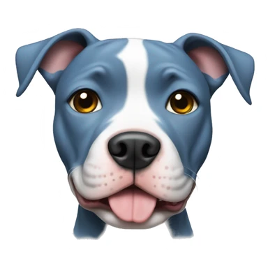 Cute blue pitbull with white chest sticker