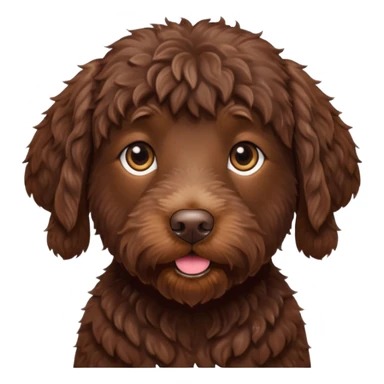 Chocolate labradoodle sticker