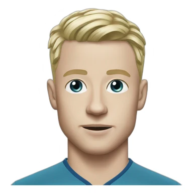 zinchenko sticker