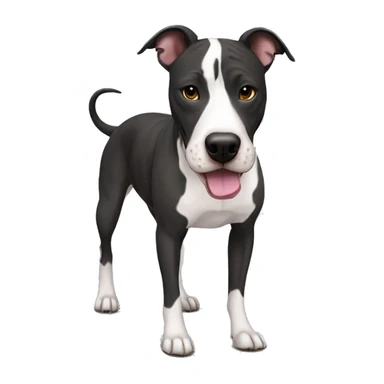 Black, white and brindle Pitbull mixed with greyhound with and black patches sticker