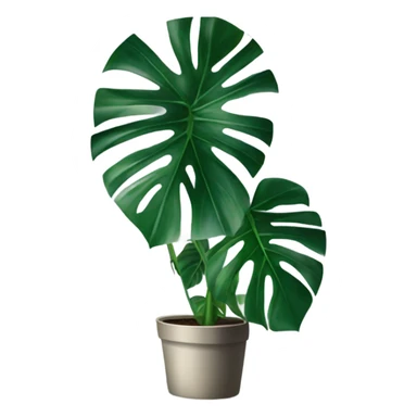 monstera plant sticker