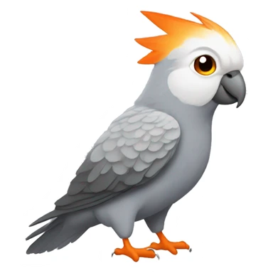 Grey cockatiel with orange  sticker