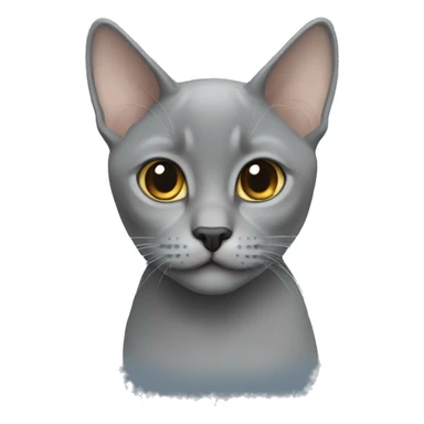 Grey british short hair sticker