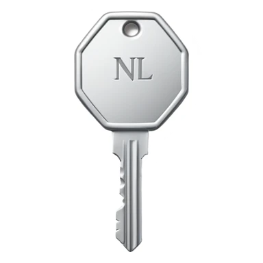 small silver metal key with hexagonal head and the word NATIONAL engraved, clean lines, soft silver tone, minimalistic and precise sticker