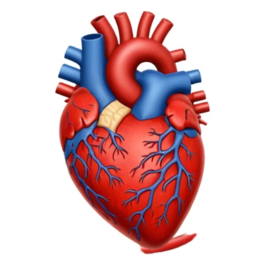 heart human organ sticker