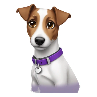 jack russel with purple collar sticker
