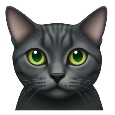 British short hair cat in black with green eyes  sticker