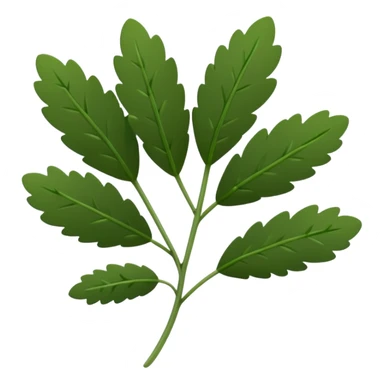 fresh thyme sprig, thin green stems, clusters of tiny oval deep green leaves, delicate, slightly woody base, dense evenly spaced leaves, soft lighting, emoji scale sticker