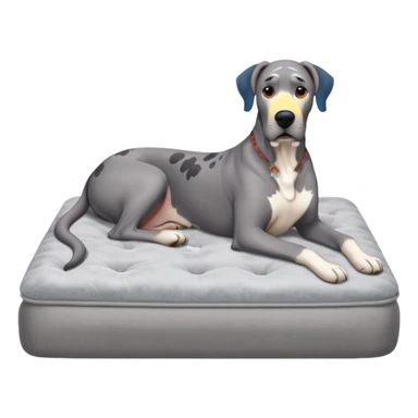 Gray Great Dane on king size mattress sticker