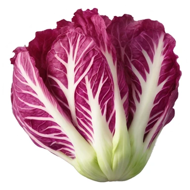 Red Napa cabbage  sticker
