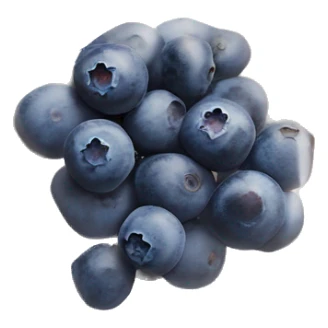 small blueberries in plastic packet organic farmer’s market realistic soft textures sticker