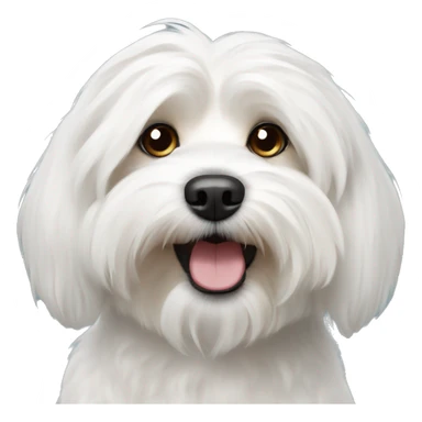 white havanese dog sticker