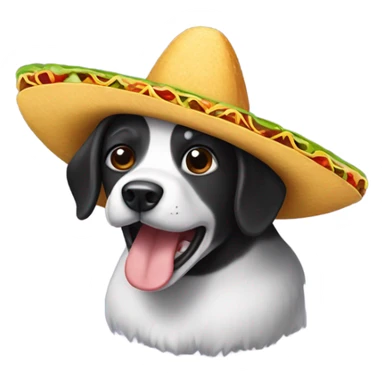 Black and white dog wearing a taco hat sticker