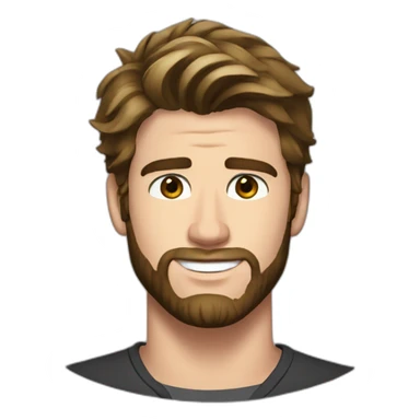 Liam Hemsworth sticker