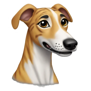  tiger greyhound with black nose sticker