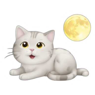 Cat with moon sticker