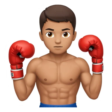 young boy professional boxer sticker