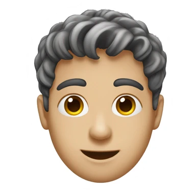 noam hasson student sticker