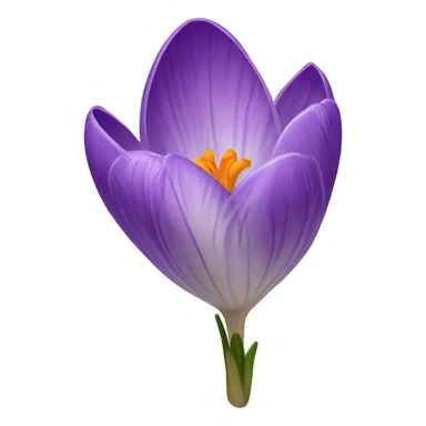Crocus sticker