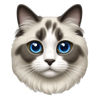 mitted, blue point, ragdoll cat sticker
