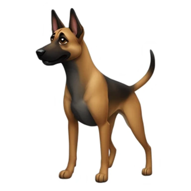 Malinois croisé staff sticker