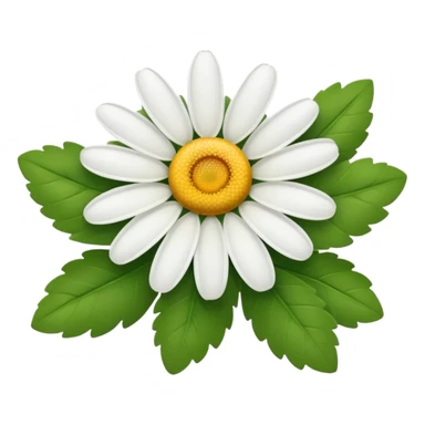 diasy with no strap and low leafs  sticker