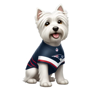 Westie with patriots jersey sticker