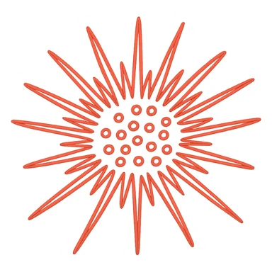 Sea urchin illustration in hand-drawn style with all lines in bright red, minimal design, no text, transparent background. sticker