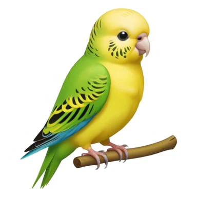 Budgie sticker