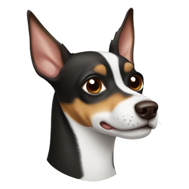 Rat terrier dog with brown eyes sticker