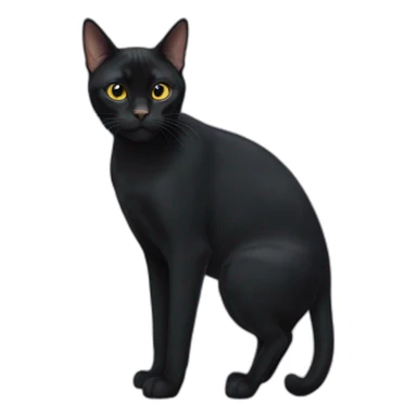 bombay cat sticker