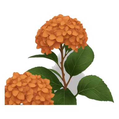 Burnt orange hydrangeas  sticker