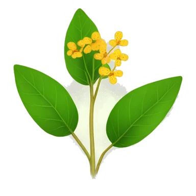 Ginseng indien plant leaf flower sticker