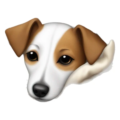 Jack Russell  terrier sleeping cozy in blanket  sticker
