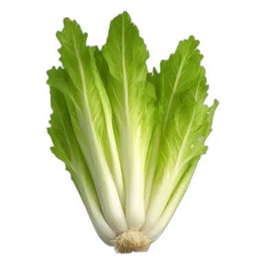 endive sticker
