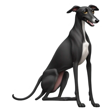 Black greyhound sleeping on back  sticker