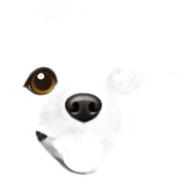 pomeranian-toypoodle-mix sticker