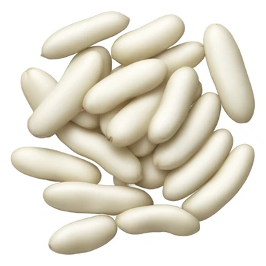 Haricot blanc  sticker