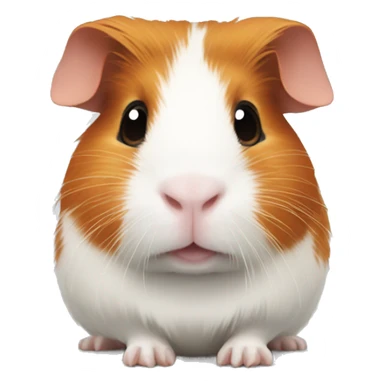 Ginger and white guinea pig sticker