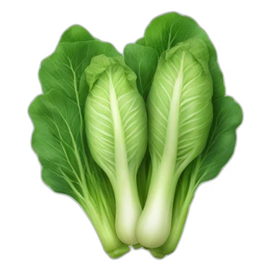 Bok Choi sticker