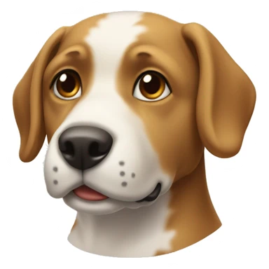 köpek balığı sticker