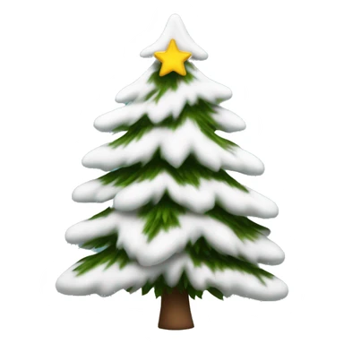  actual white fir christmas tree isolated.  sticker