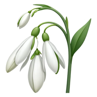 snowdrop flower sticker