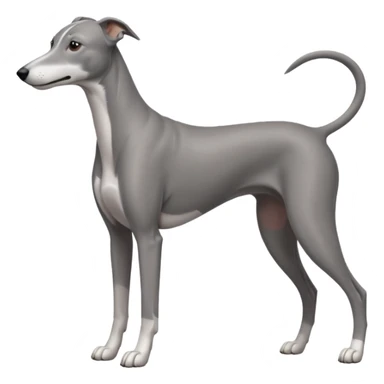 greyhound sticker